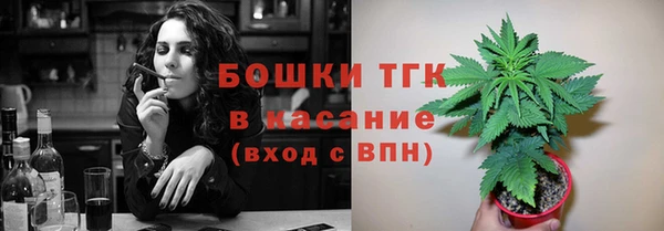 тгк Аркадак