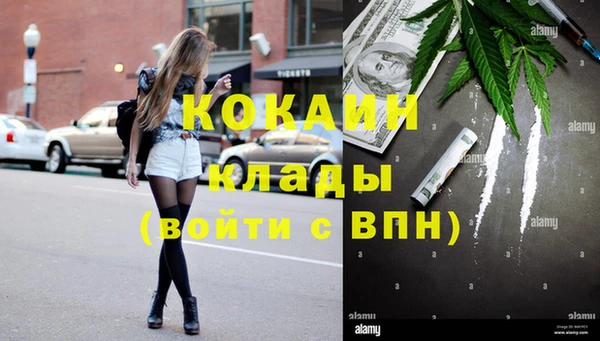 кокс Арсеньев