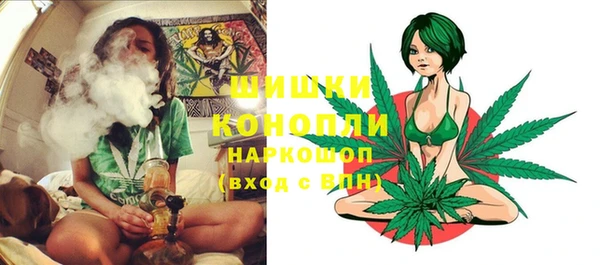 кокс Арсеньев