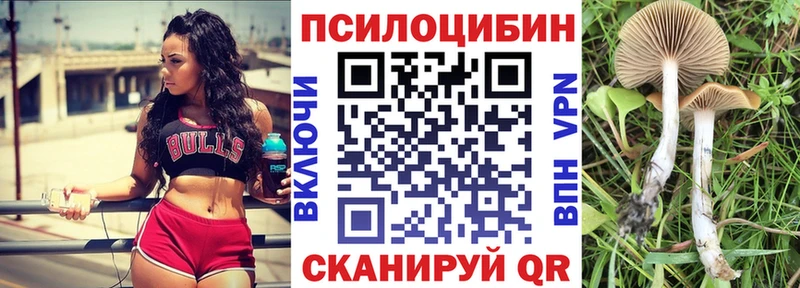 Псилоцибиновые грибы мухоморы  купить  цена  Камбарка 